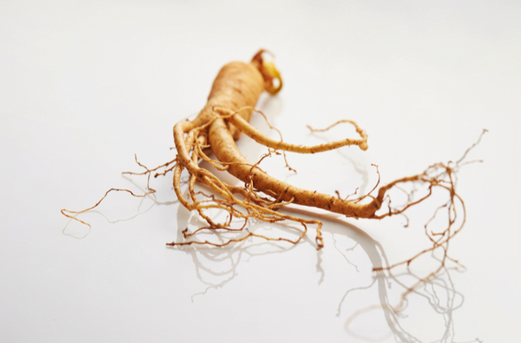 Ginseng libido verhogen vrouw